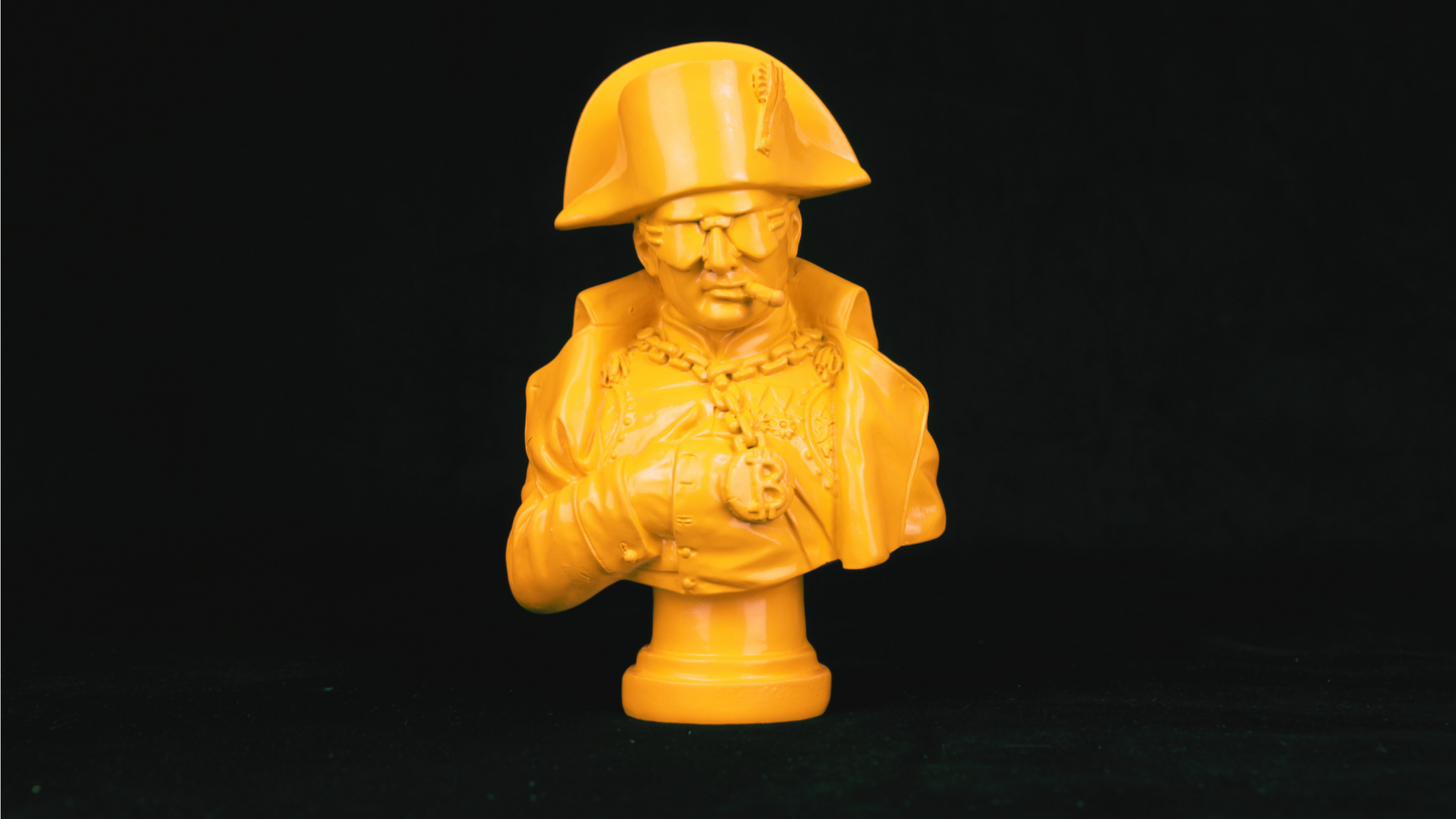 Napoleon “pop” bust